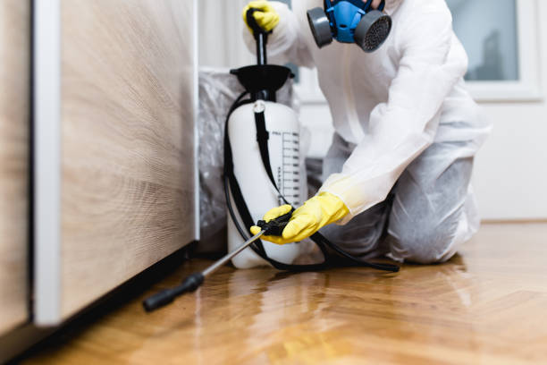 Best Cockroach Control Services  in Luna Pier, MI