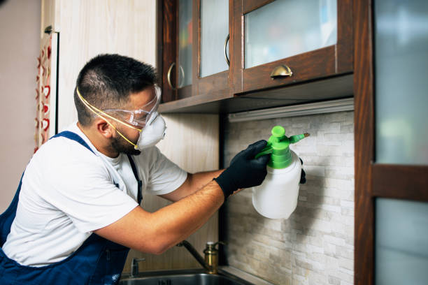 Pest Prevention Services in Luna Pier, MI