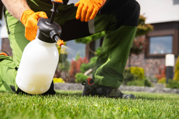 Best Termite Control Services  in Luna Pier, MI