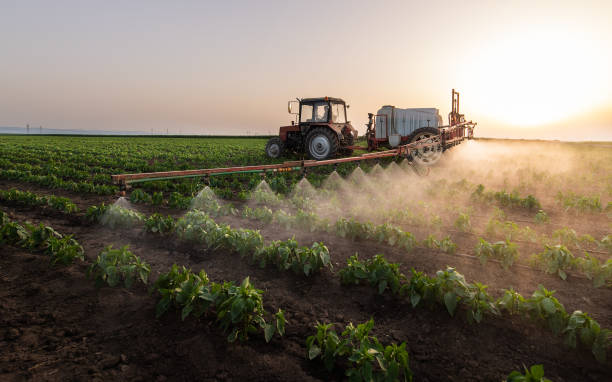 Best Pest Prevention Services  in Luna Pier, MI