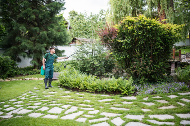 Best Pest Removal Services  in Luna Pier, MI