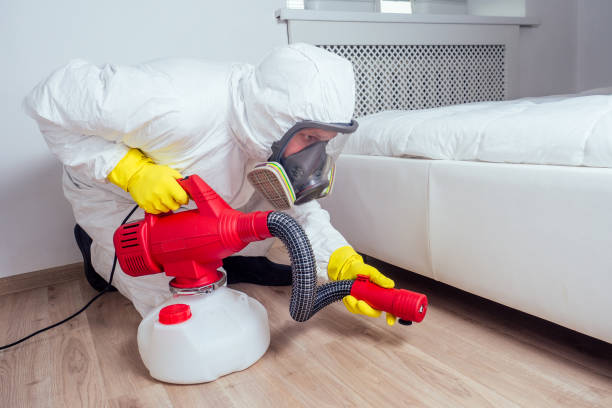 Best Rat Extermination Near Me  in Luna Pier, MI