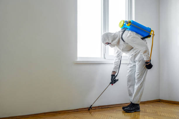 Best Bed Bug Extermination  in Luna Pier, MI