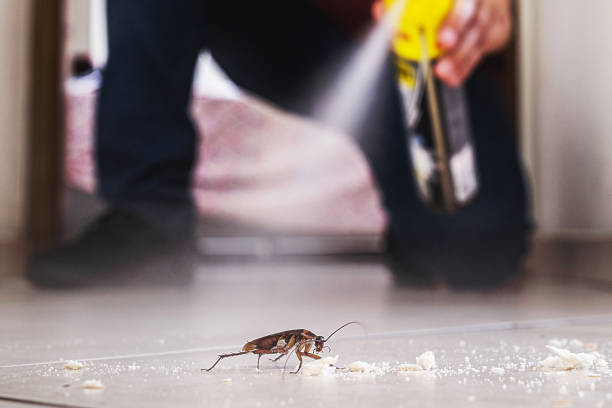 Flea Control Services in Luna Pier, MI