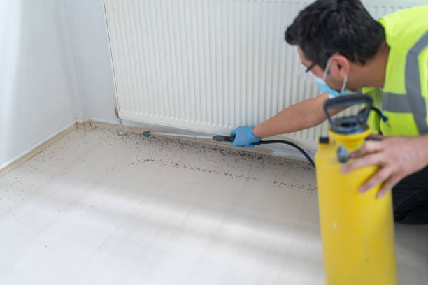 Best Pest Inspection Near Me  in Luna Pier, MI