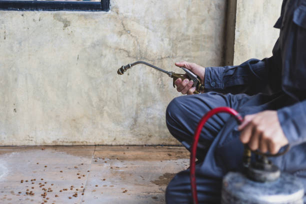 Best Best Pest Control Companies  in Luna Pier, MI